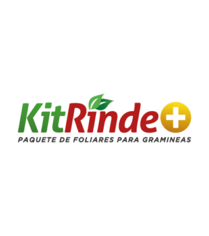 Kit Rinde+