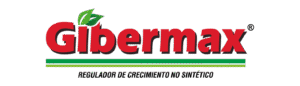 Gibermax